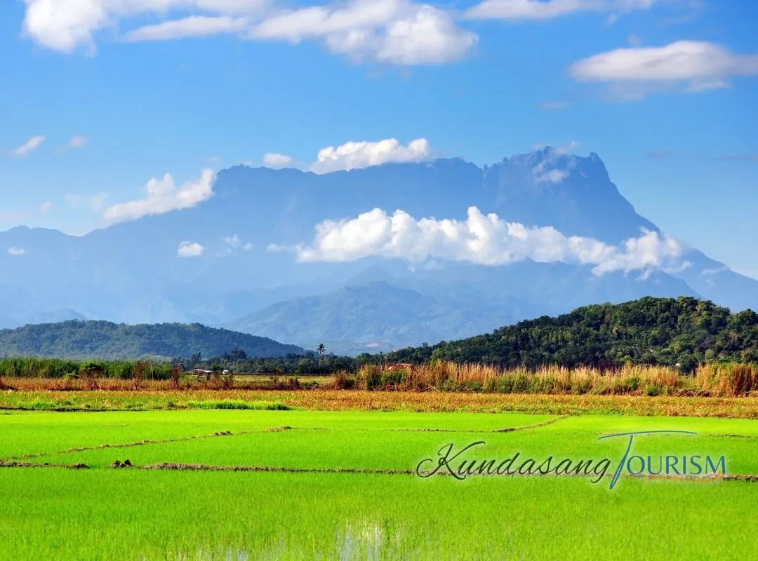 21. kundasang tourism ranau kota kinabalu sabah kota belud polumpong kg sangkirwebp